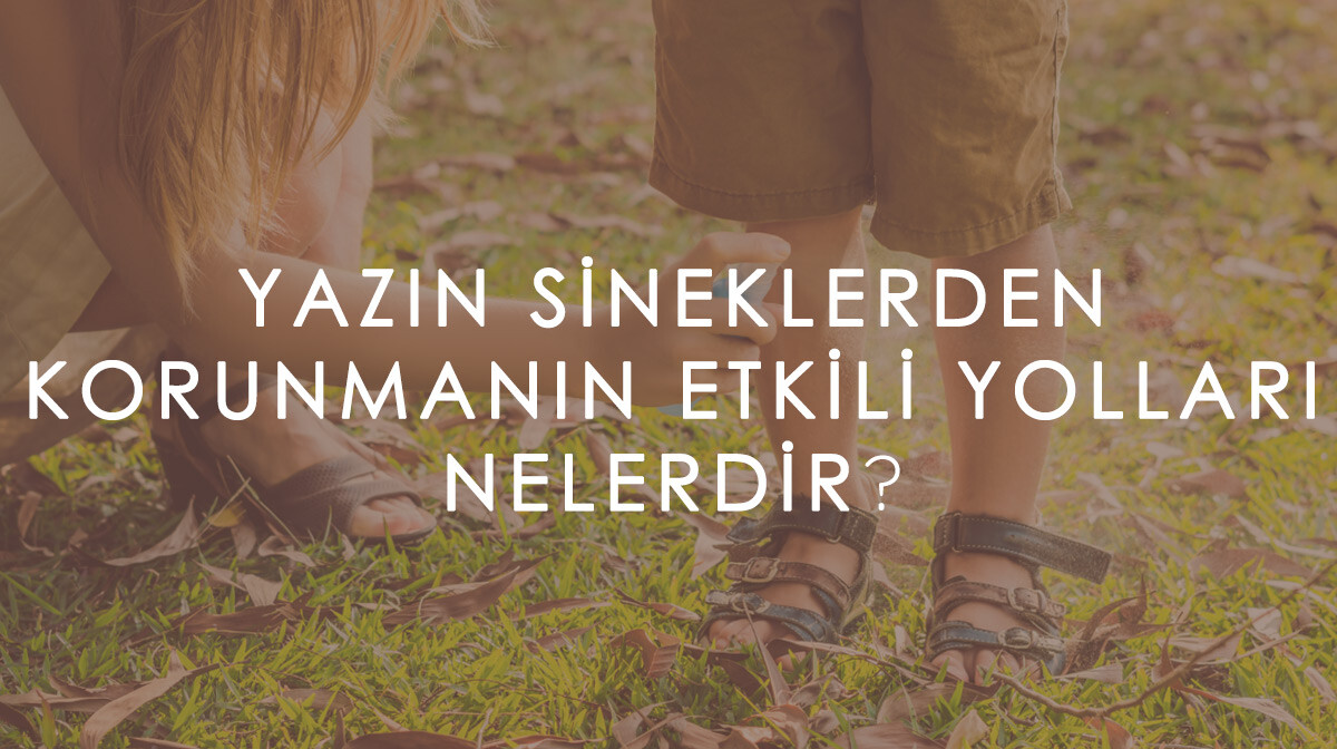 Yazın Sineklerden Korunmanın Etkili Yolları Nelerdir?