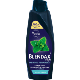 Blendax Mentol Ferahlığı - Erkek Şampuan 500ml - Blendax